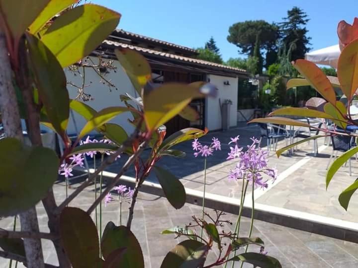 Borgo Nicoletta Case Per Le Vacanze Filandari Εξωτερικό φωτογραφία