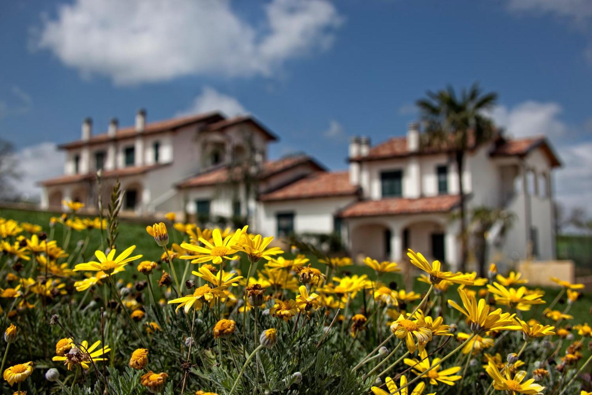Borgo Nicoletta Case Per Le Vacanze Filandari Εξωτερικό φωτογραφία